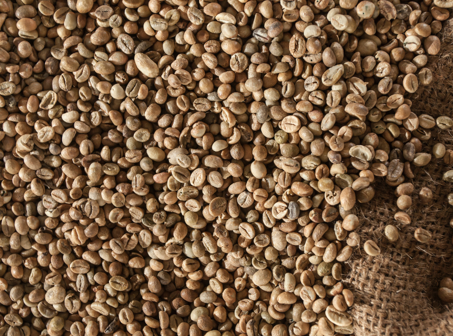 Robusta Green Coffee Beans - Brazil Origin